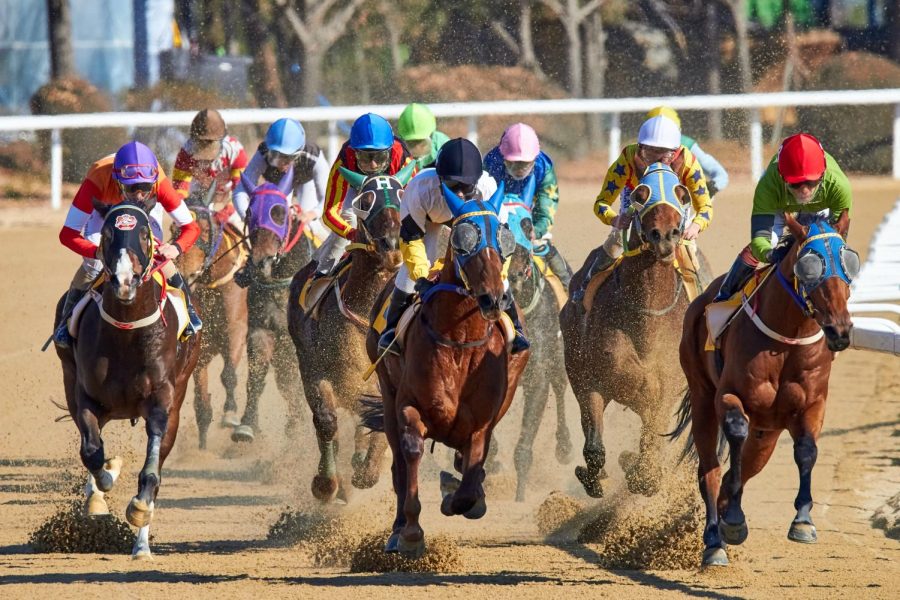 Equine Club Is off to the Races