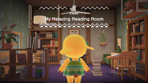 Animal Crossing New Horizons – Happy Home Paradise DLC Review – Welcome,  Mr. Architect