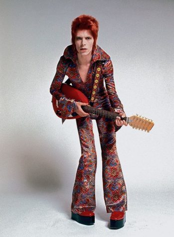 David Bowie Costume Wig  Red Mullet Space Superstar Costume Wig