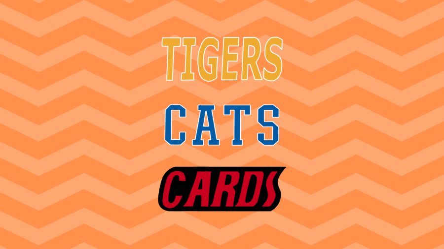 Tigers, Cats and Cards: Episode 2