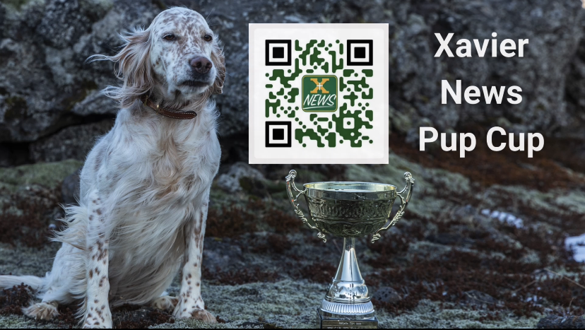 Xavier News Pup Cup