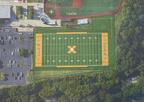 New Turf Planned for the Tigers