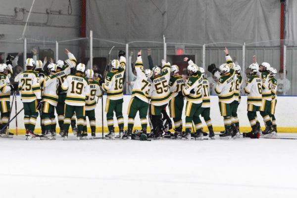 The Ice Tigers celebrating on the ice (Photo courtesy of StxTigerHockey Twitter)