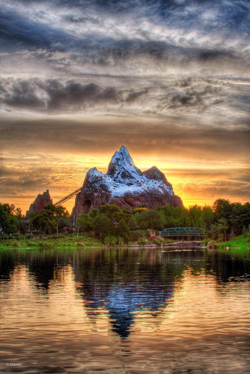 Animal Kingdom