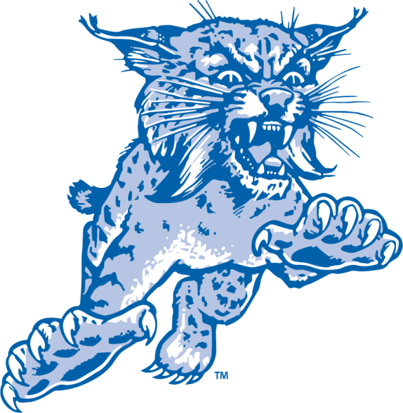 Top 5 Vintage College Logos in Kentucky History