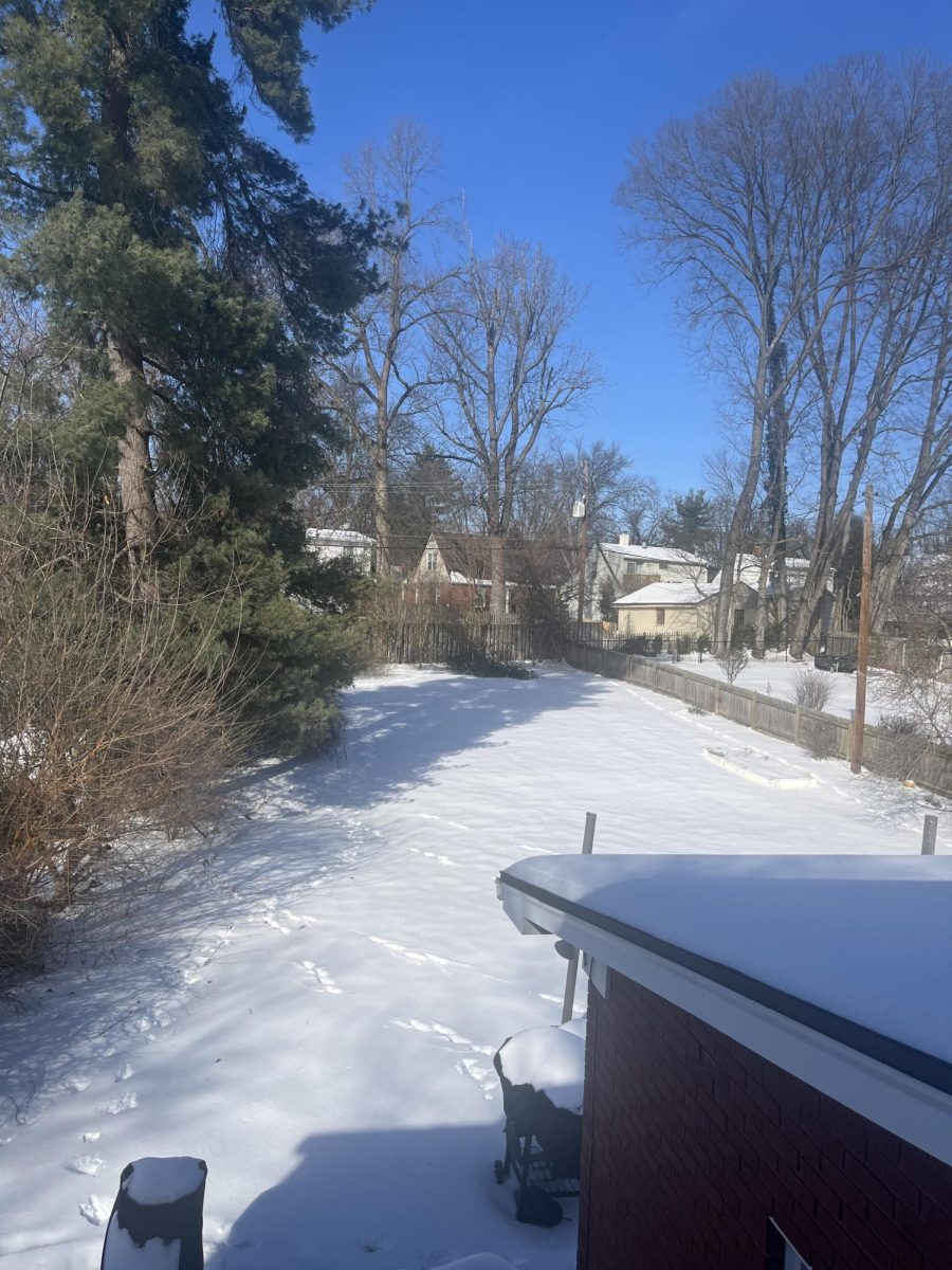 Best Snow Activities