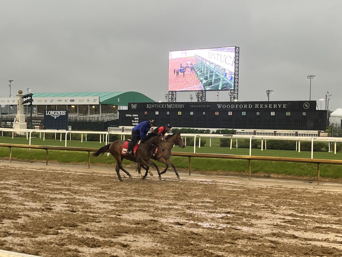 Morning workouts on the Wednesday before the Derby
