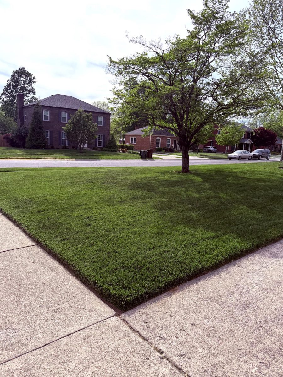 Cutting Grass: The Perfect Summer Job